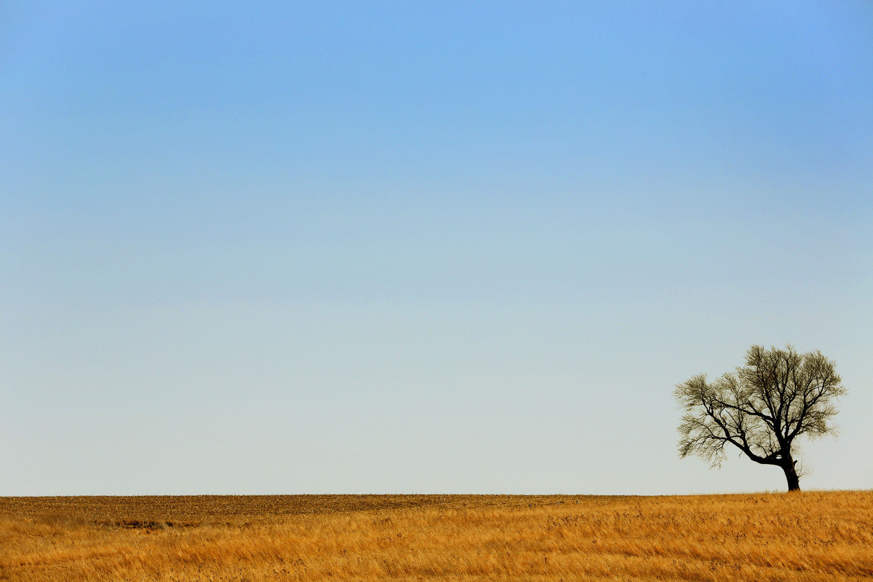 Outtakes: Neal Smith National Wildlife Refuge